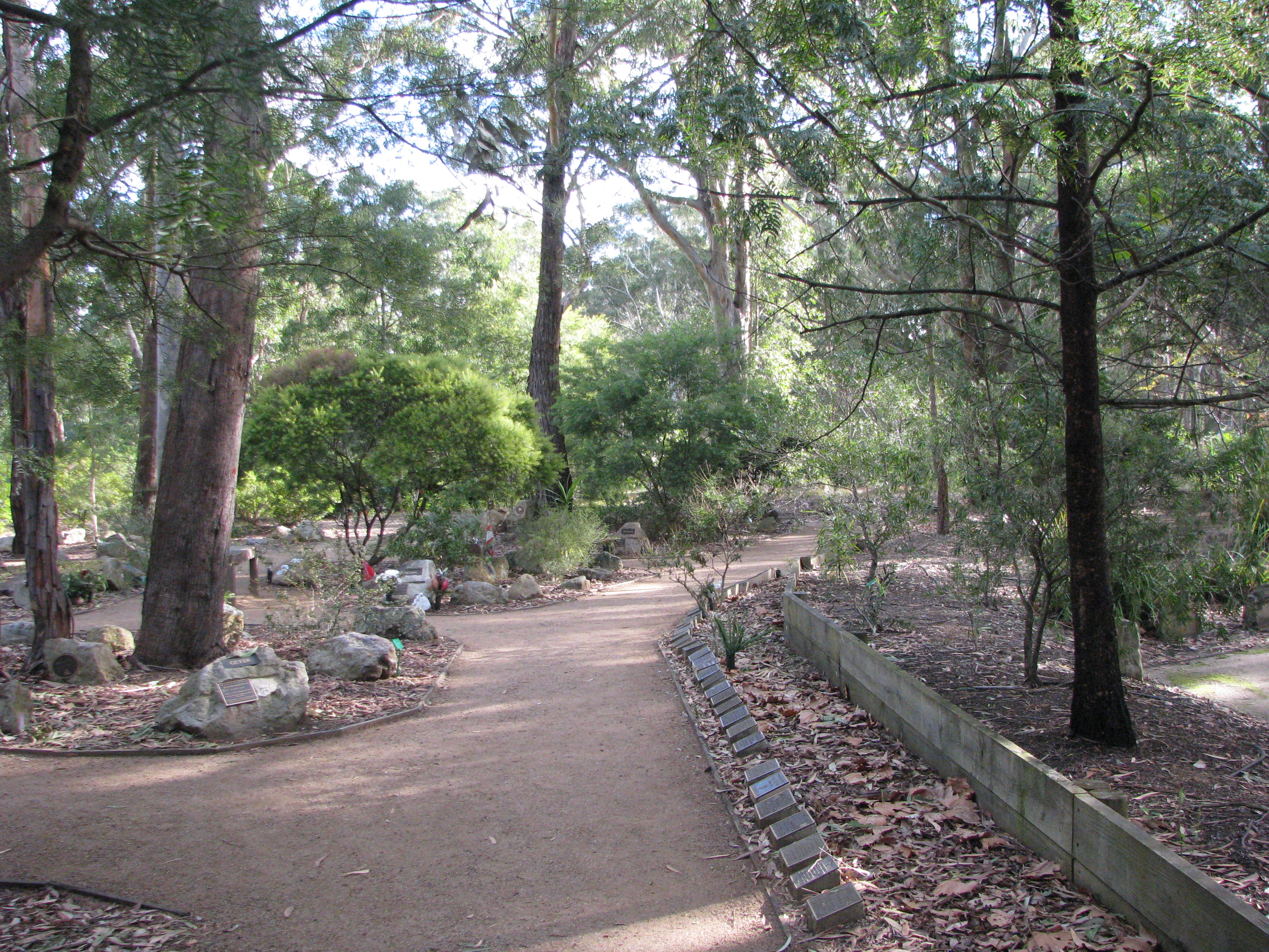 Bushwalk Garden.JPG