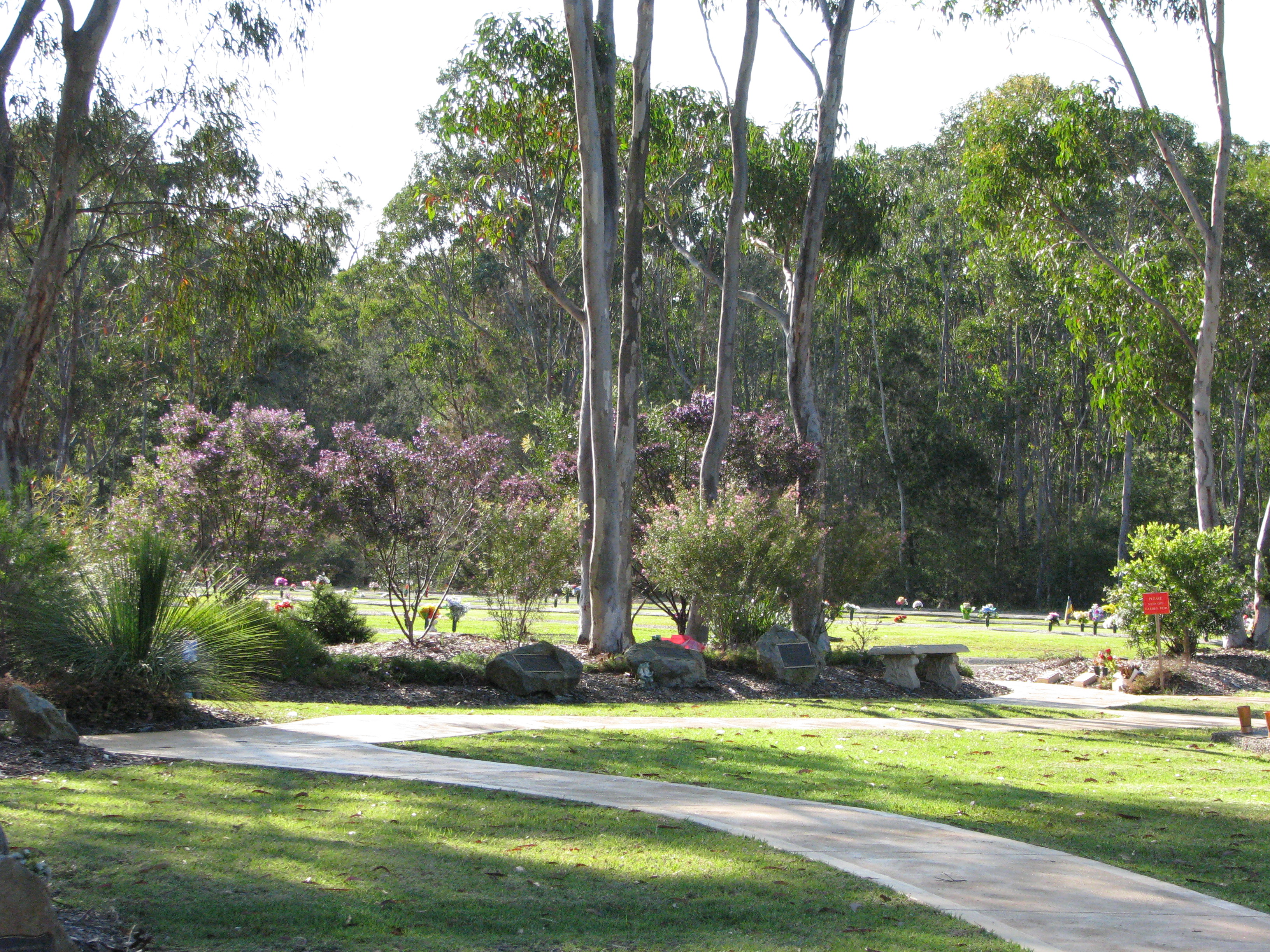 Bush Garden.jpg