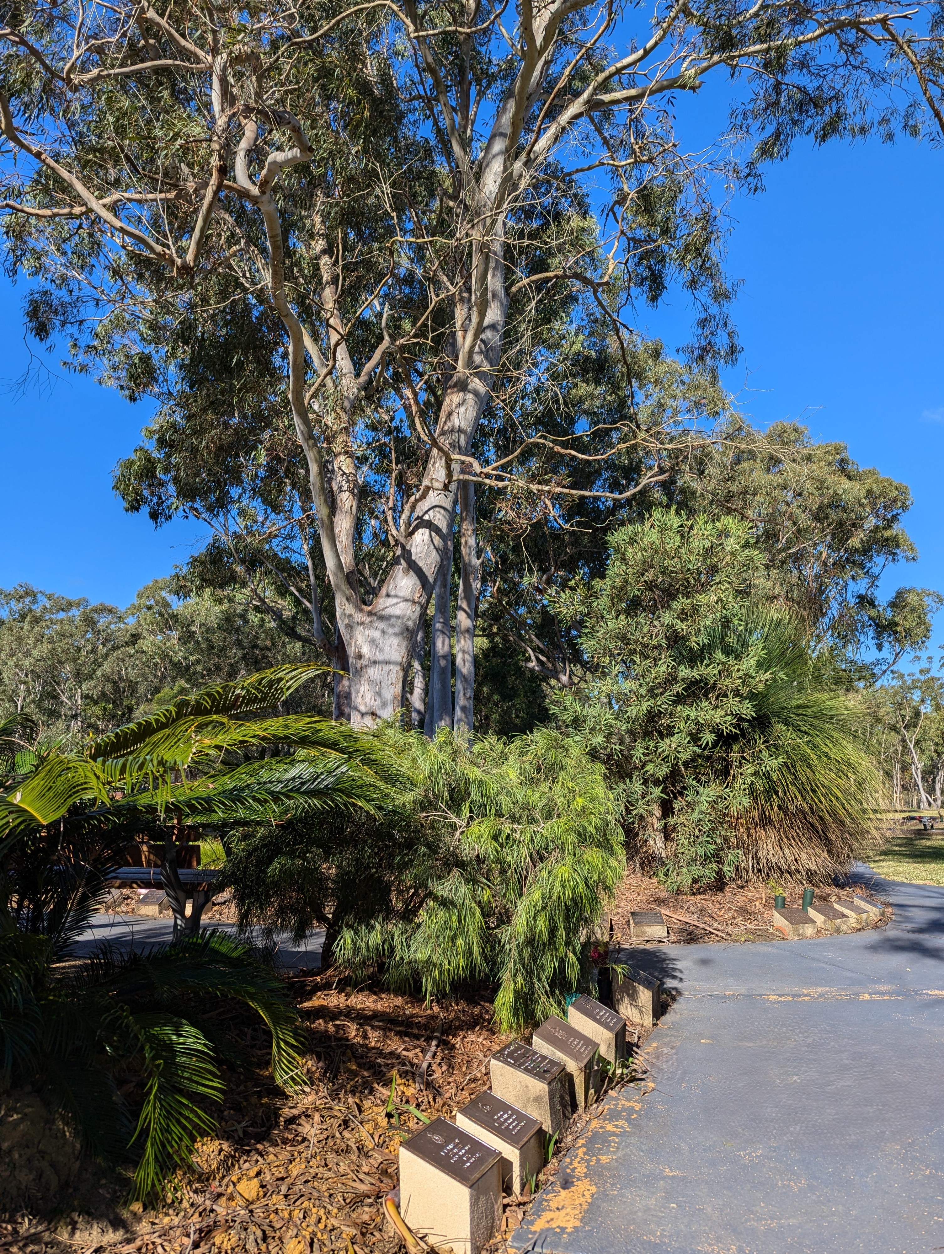 Shoalhaven Memorial Gardens and Lawn Cemetery